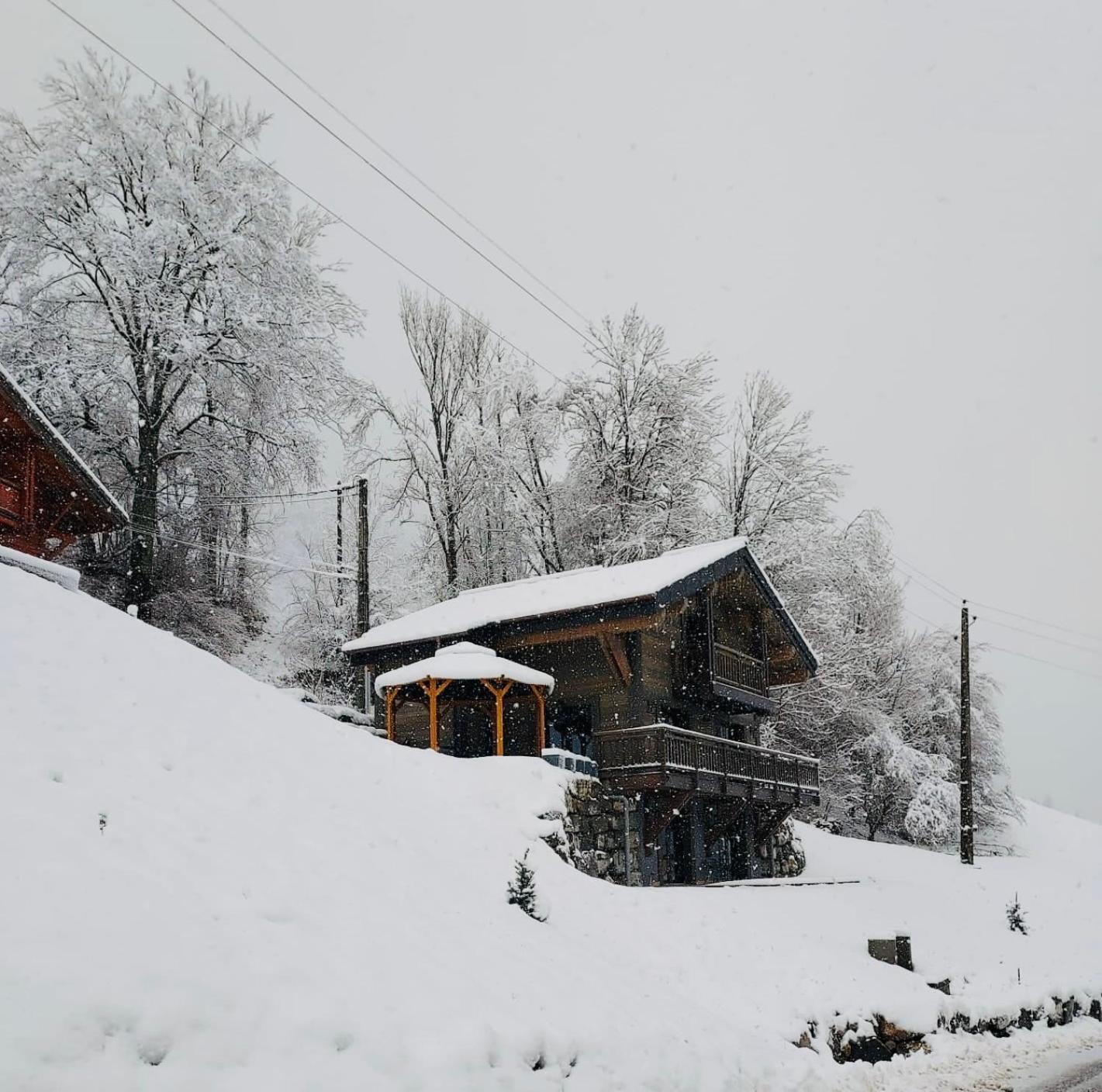 Вилла Chalet Du Bonheur Bonnevaux  Экстерьер фото