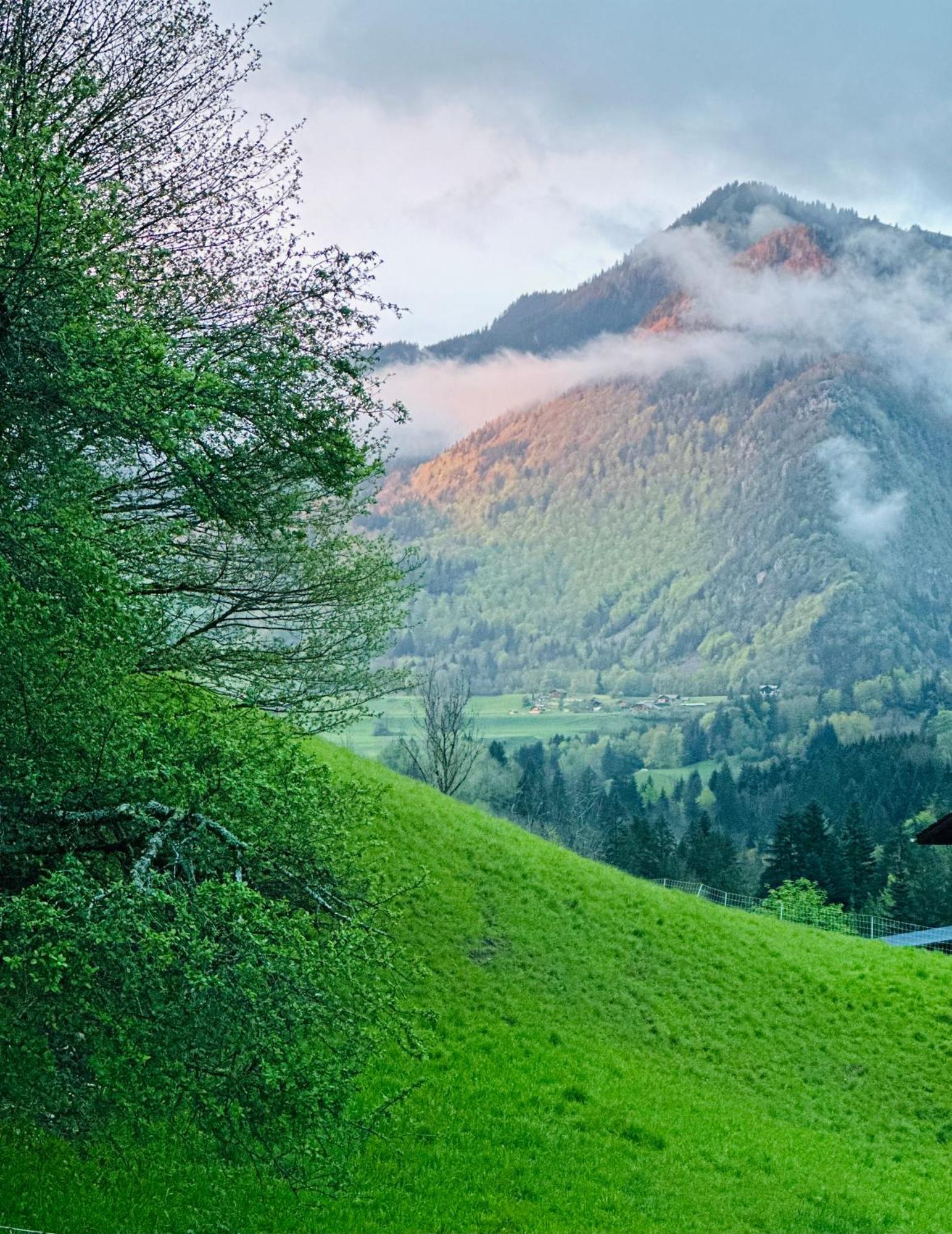 Вилла Chalet Du Bonheur Bonnevaux  Экстерьер фото