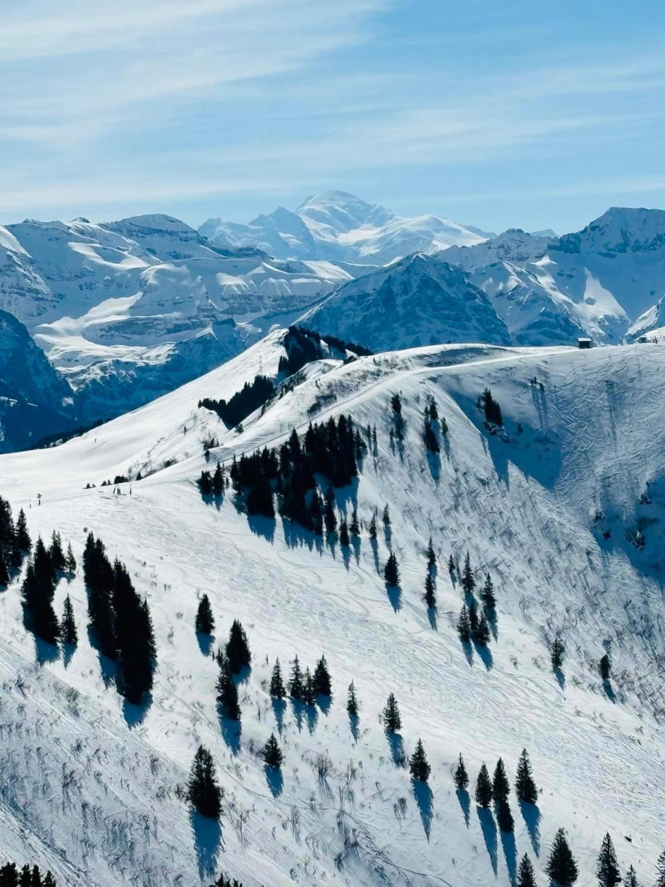 Вилла Chalet Du Bonheur Bonnevaux  Экстерьер фото