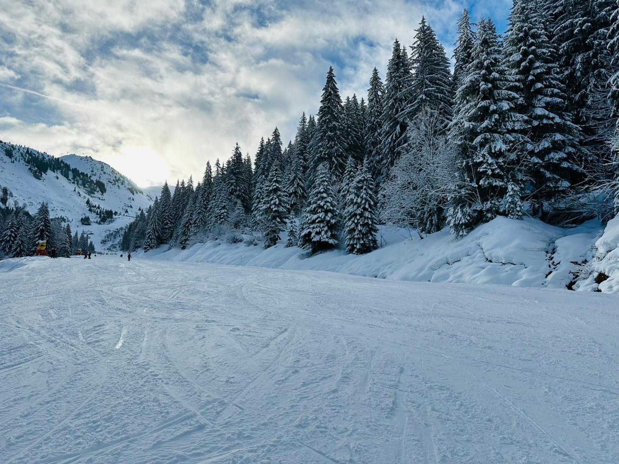 Вилла Chalet Du Bonheur Bonnevaux  Экстерьер фото